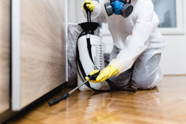 Best Exterminator Services  in Pontoon Beach, IL