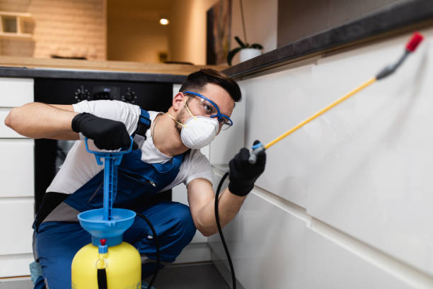 Pontoon Beach, IL Pest Control Pros