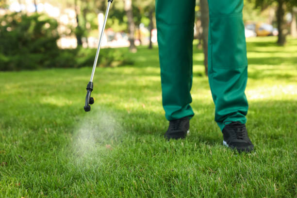 Best Bed Bug Extermination  in Pontoon Beach, IL