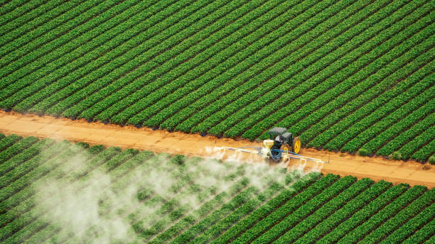 Best Exterminator Services  in Pontoon Beach, IL