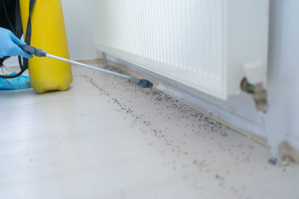 Best Commercial Pest Control Services  in Pontoon Beach, IL
