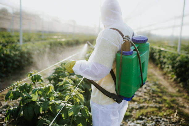 Best Best Pest Control Companies  in Pontoon Beach, IL